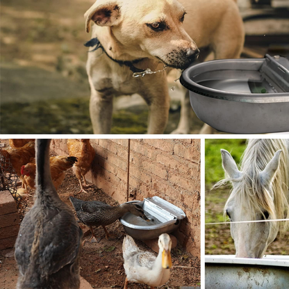 Dog and animals drinking from auto-refill stainless steel water bowl