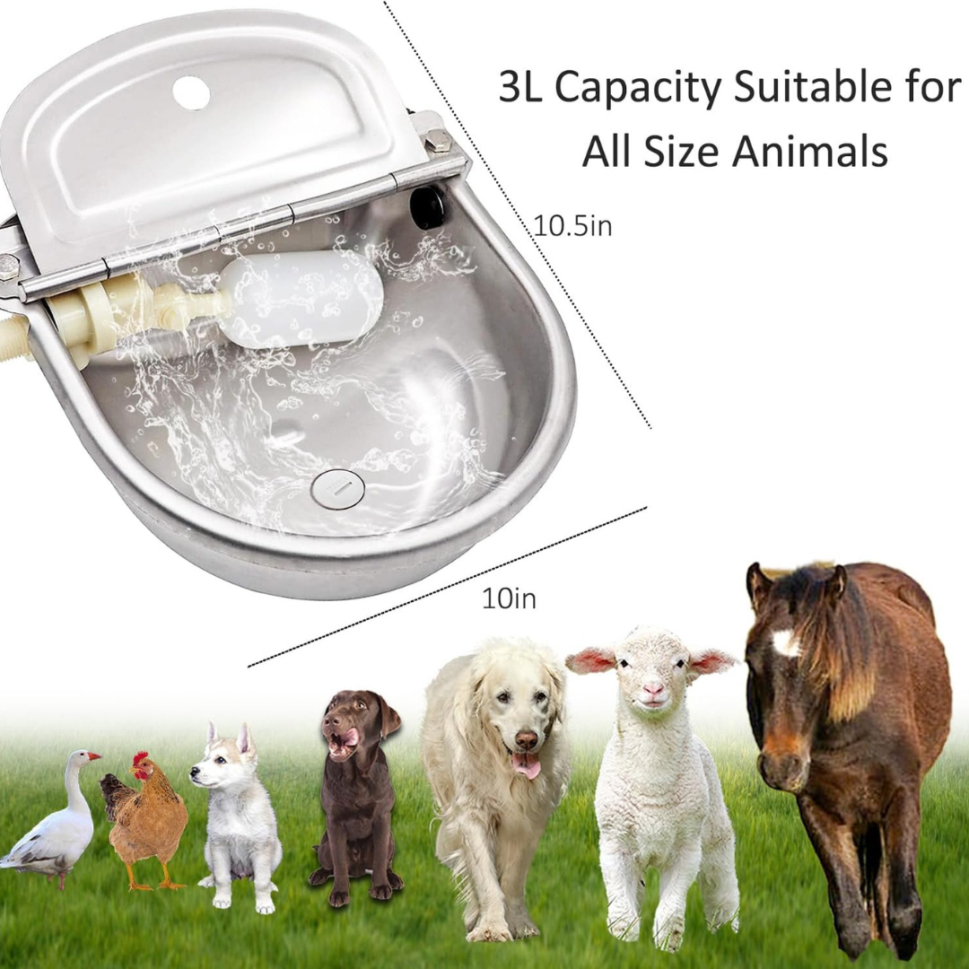 3L capacity stainless steel pet water bowl - 10.5 x 10 inch