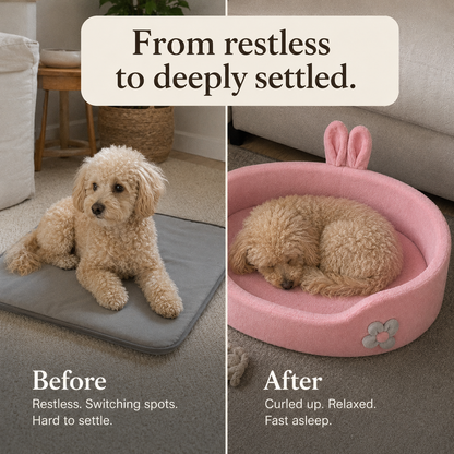 Raised Bolster Calming Dog Bed - view 2