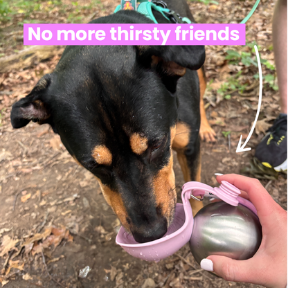 Dog water bottle with built-in bowl - main-2