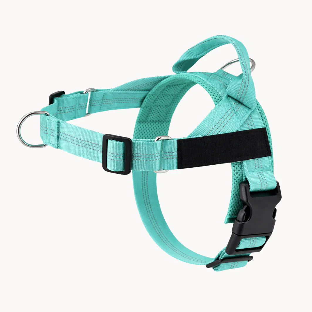 No-Pull Dual Clip Dog Harness