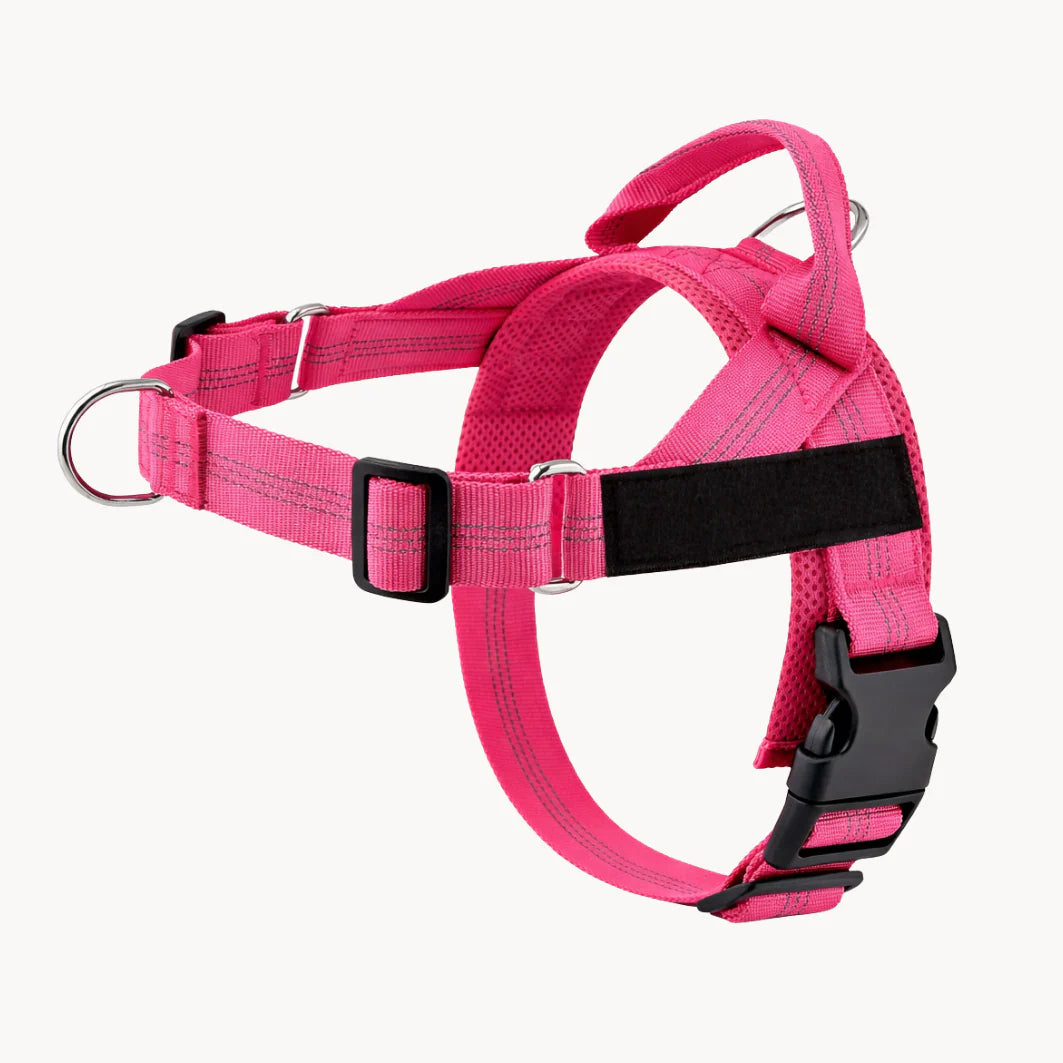 No-Pull Dual Clip Dog Harness