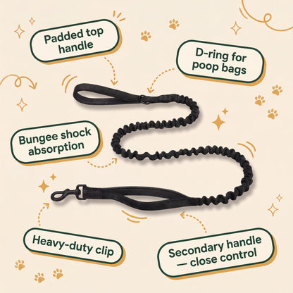 No-Pull Dual Clip Dog Harness