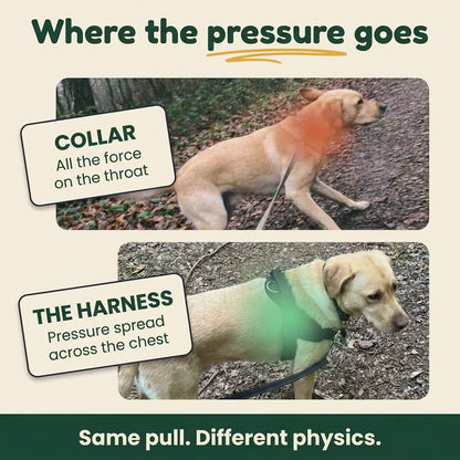 No-Pull Dual Clip Dog Harness