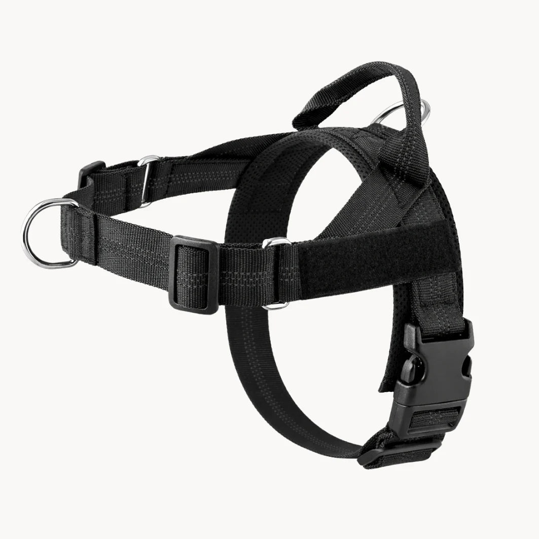 No-Pull Dual Clip Dog Harness