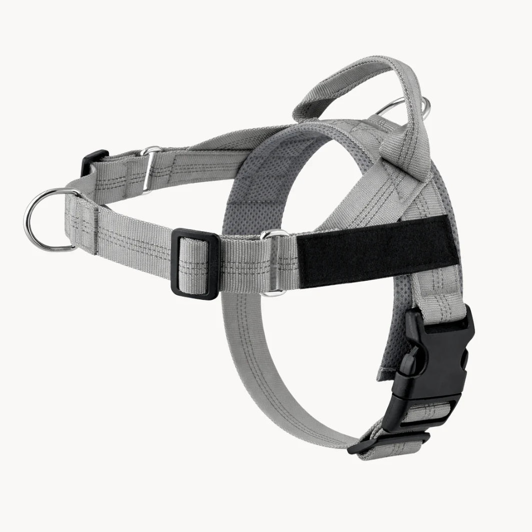 No-Pull Dual Clip Dog Harness