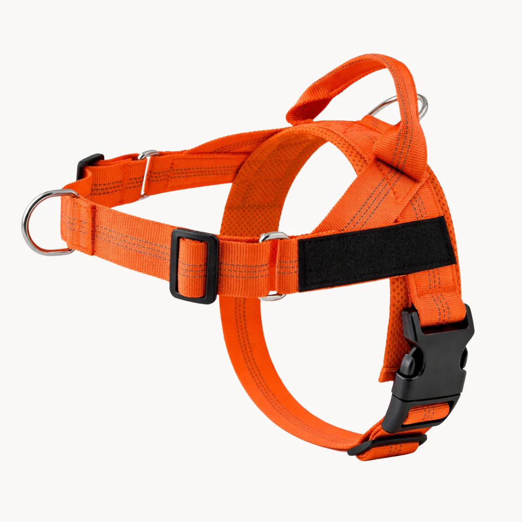 No-Pull Dual Clip Dog Harness