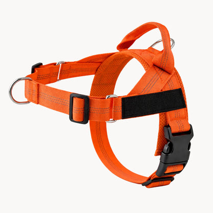 No-Pull Dual Clip Dog Harness