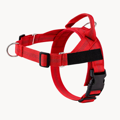 No-Pull Dual Clip Dog Harness