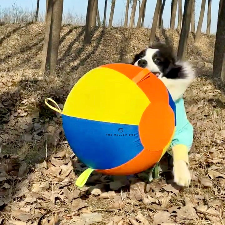 Jumbo Calming Dog Ball