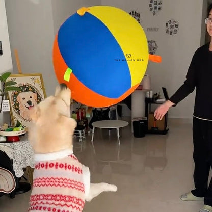 Jumbo Calming Dog Ball