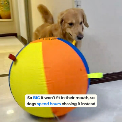 Jumbo Calming Dog Ball