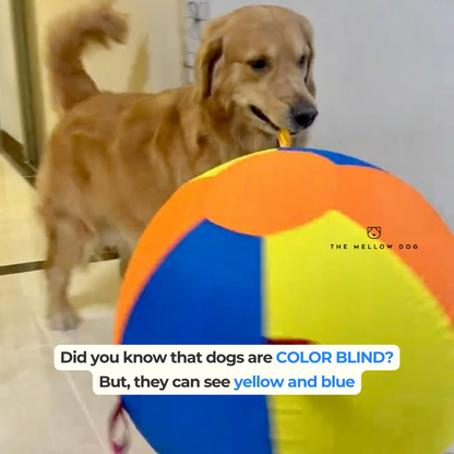 Jumbo Calming Dog Ball
