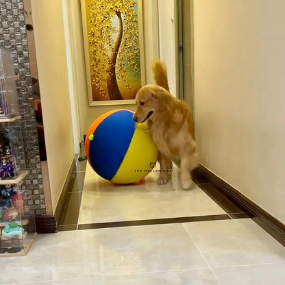 Jumbo Calming Dog Ball