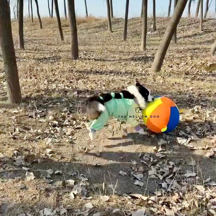 Jumbo Calming Dog Ball