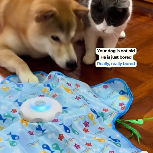 Interactive UFO Dog Toy with Feather Wand