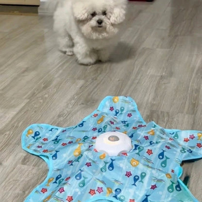 Interactive UFO Dog Toy with Feather Wand