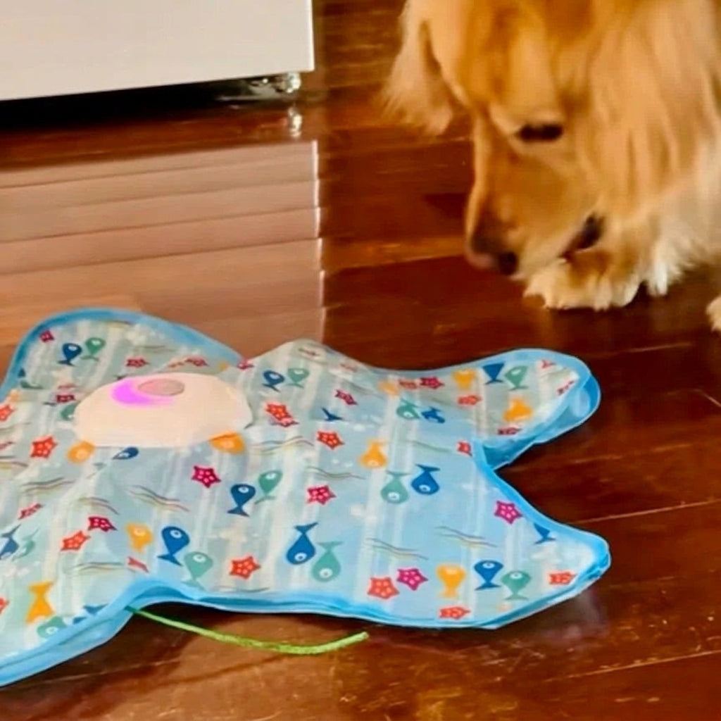 Interactive UFO Dog Toy with Feather Wand