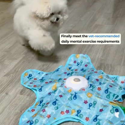 Interactive UFO Dog Toy with Feather Wand
