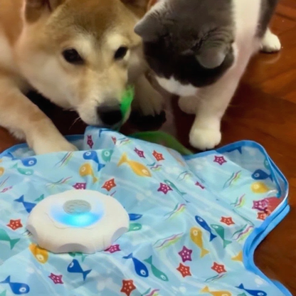 Interactive UFO Dog Toy with Feather Wand