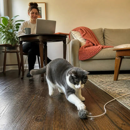 Motorized cat floor-track chase toy - view 11