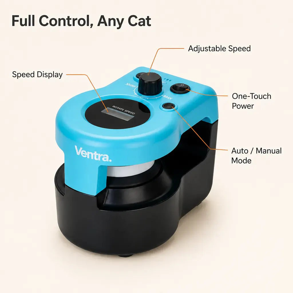 Motorized cat floor-track chase toy - view 3