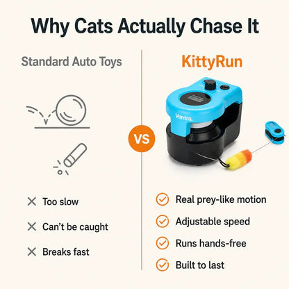 Motorized cat floor-track chase toy - view 8