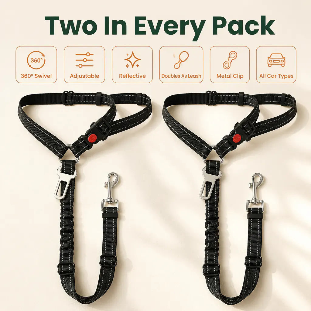 Bungee Dog Car Seat Belt - view 10