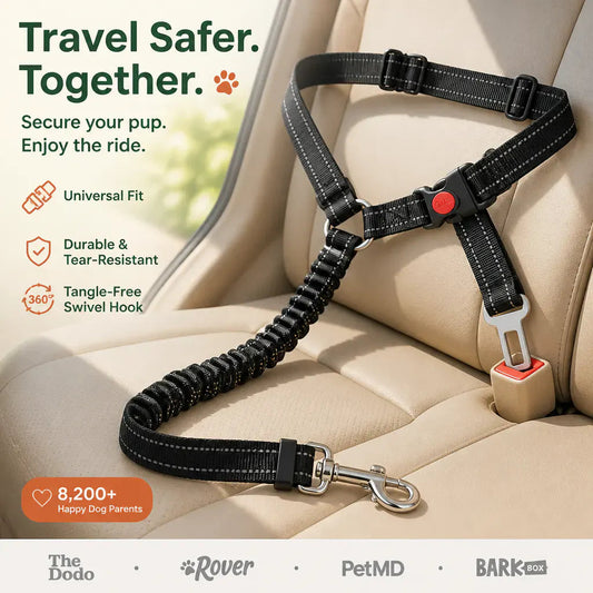 Bungee Dog Car Seat Belt - view 1