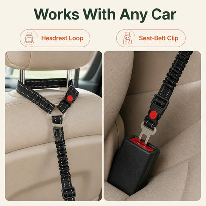Bungee Dog Car Seat Belt - view 3