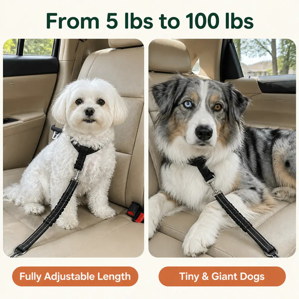 Bungee Dog Car Seat Belt - view 7