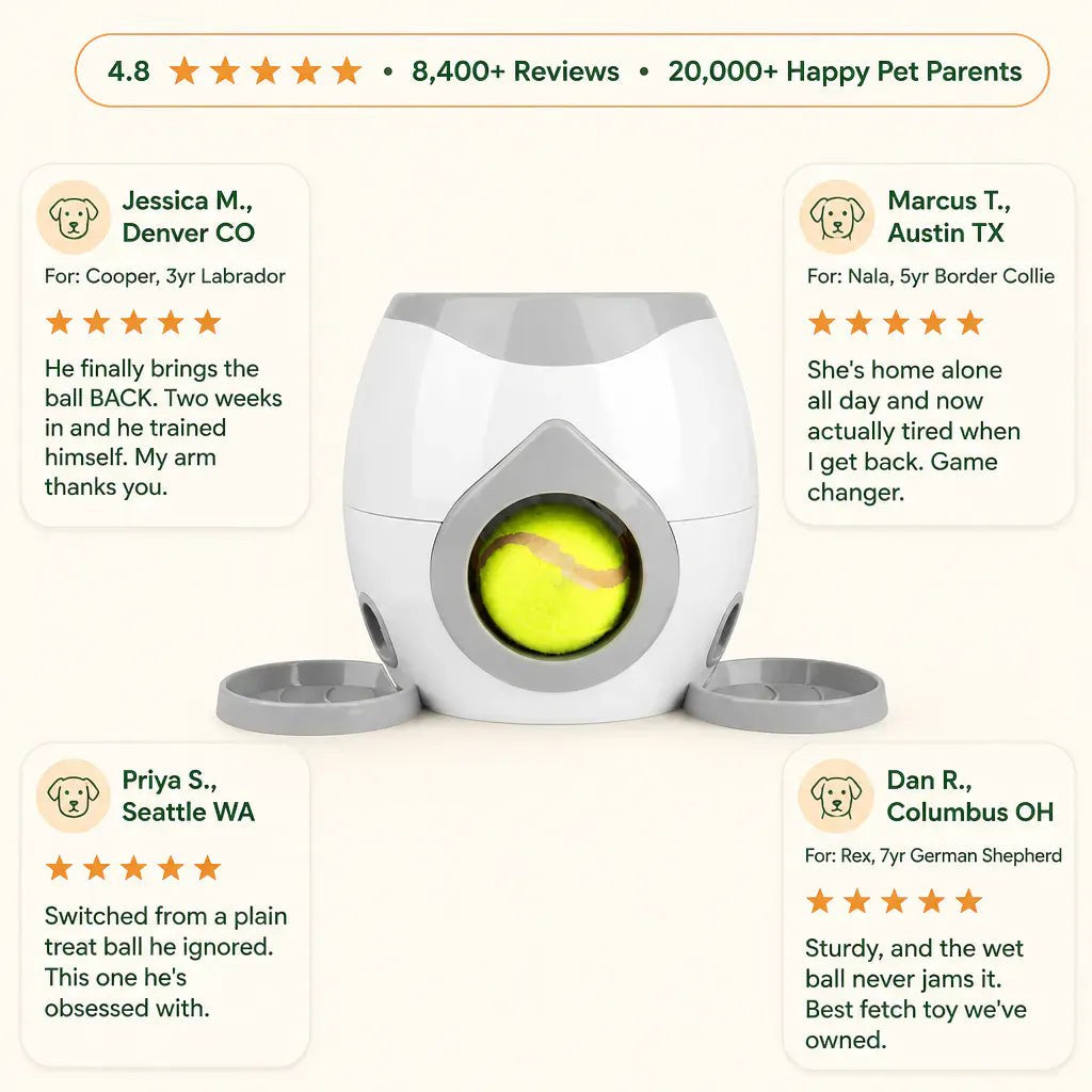 Ball Launcher and Treat Dispenser for Dogs - image 10