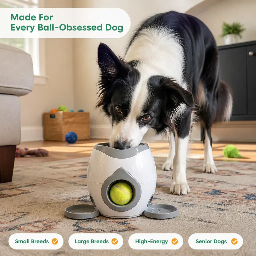 Ball Launcher and Treat Dispenser for Dogs - image 9