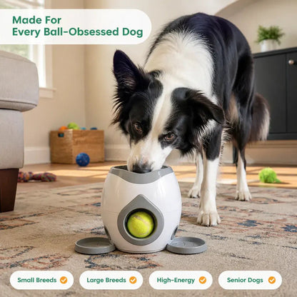 Ball Launcher and Treat Dispenser for Dogs - image 9