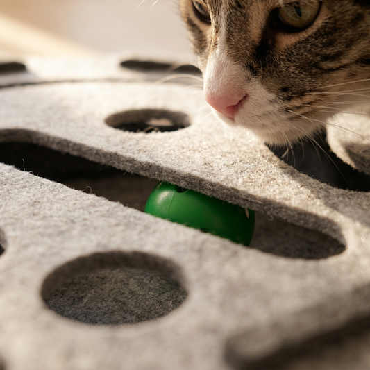 Cat Enrichment Puzzle Toy with Bell Balls - view 1