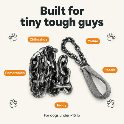 Faux Chain Dog Leash Photo Prop