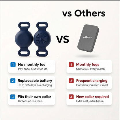 main-5
