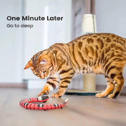 Auto-Sensing Snake Toy for Cats