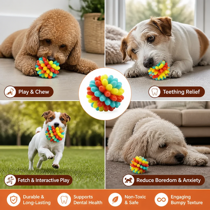 Colorful Bumpy Chew Ball for Dogs - image 5