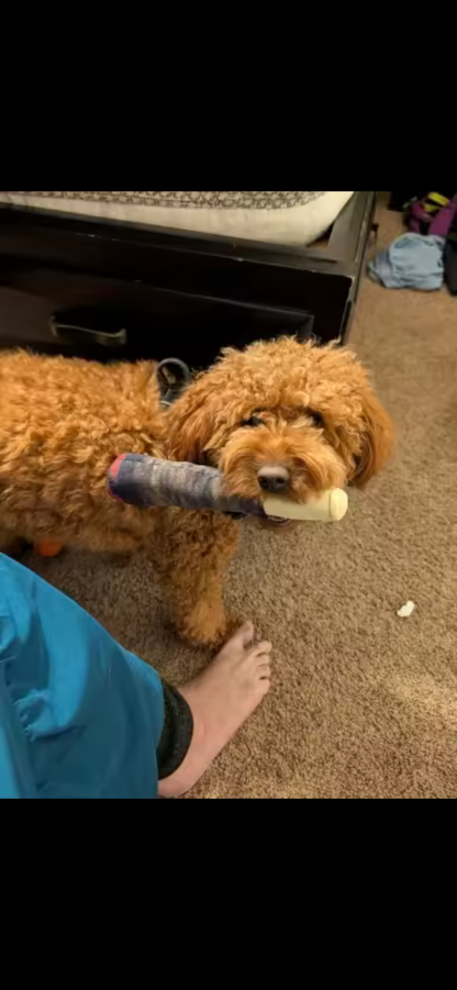 PAW Cigar Novelty Plush Squeaky Dog Toy