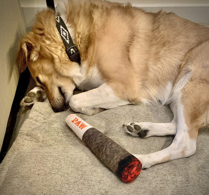 PAW Cigar Novelty Plush Squeaky Dog Toy