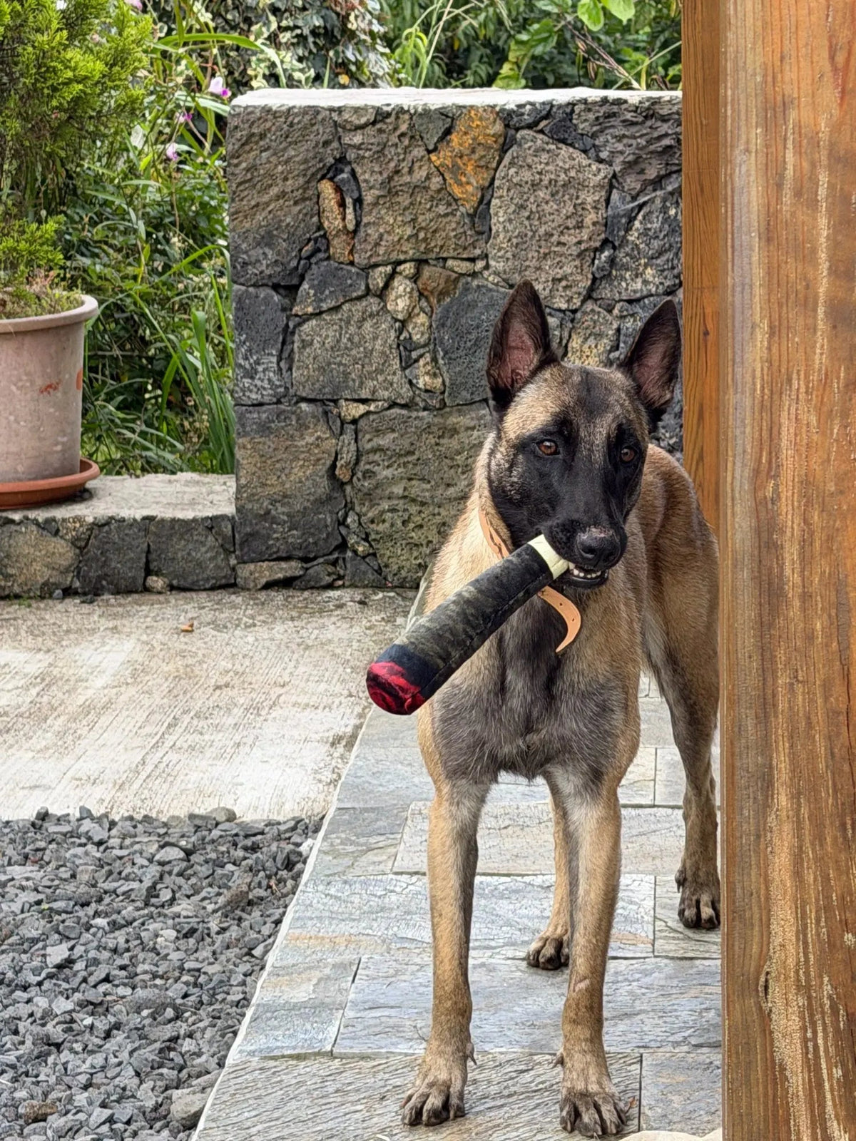PAW Cigar Novelty Plush Squeaky Dog Toy