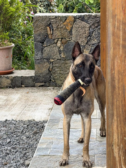PAW Cigar Novelty Plush Squeaky Dog Toy