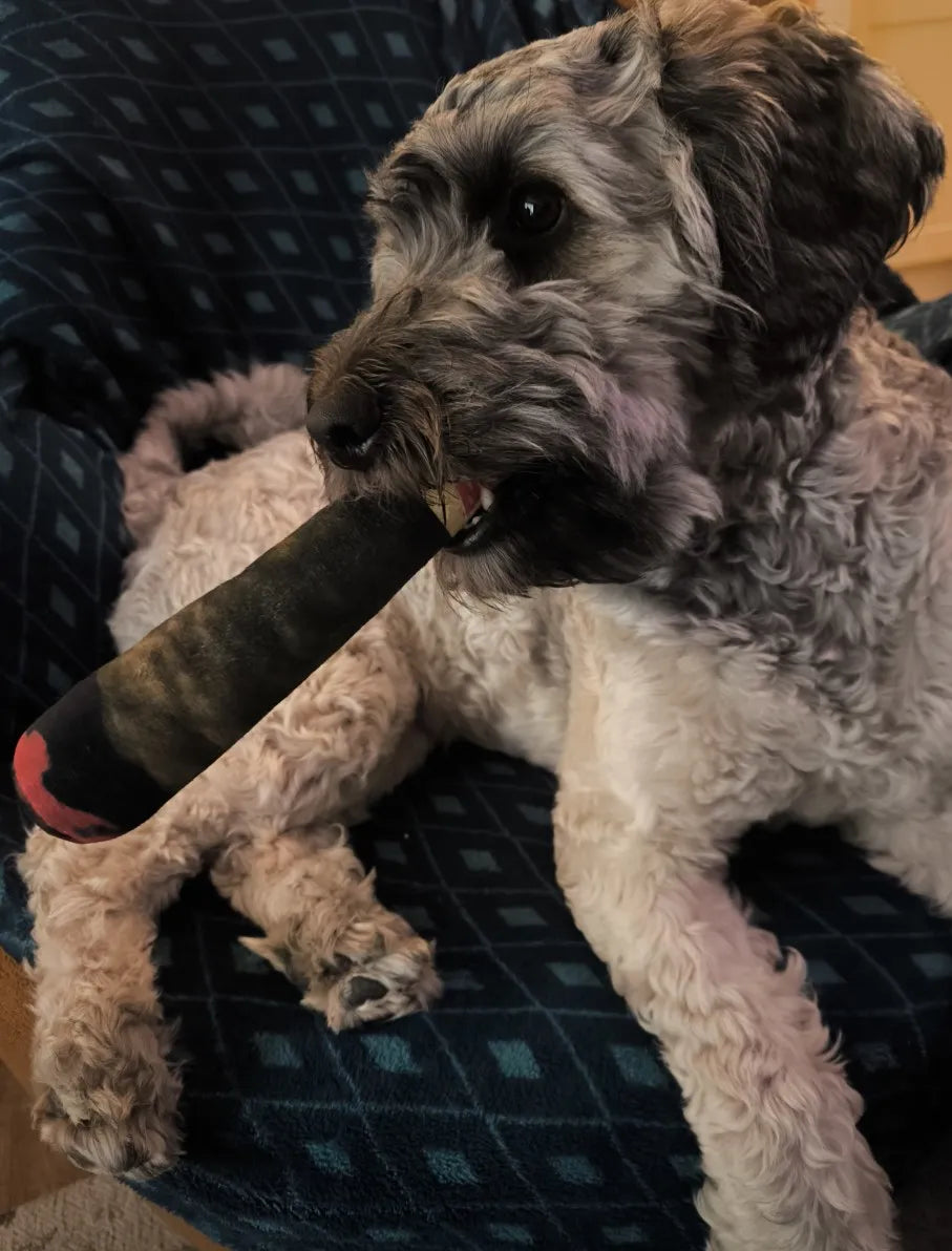 PAW Cigar Novelty Plush Squeaky Dog Toy
