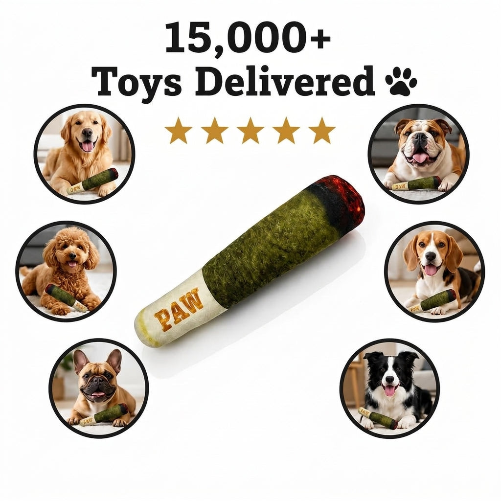 PAW Cigar Novelty Plush Squeaky Dog Toy