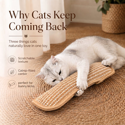 Catnip Kicker Pillow for Indoor Cats