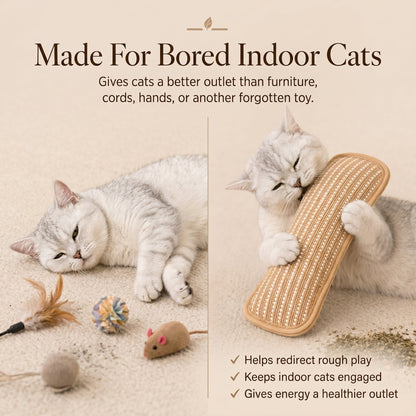 Catnip Kicker Pillow for Indoor Cats