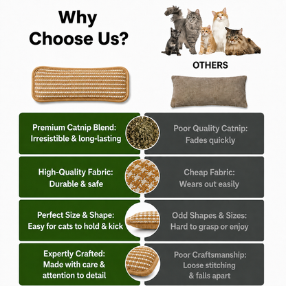 Catnip Kicker Pillow for Indoor Cats