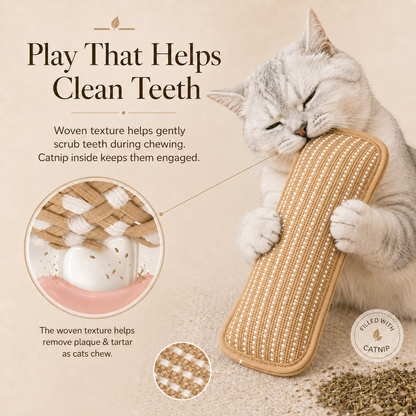 Catnip Kicker Pillow for Indoor Cats