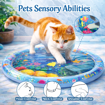 Interactive Cat Water Sensory Play Mat